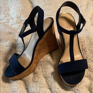 Michael Shannon Navy Wedge Sandals